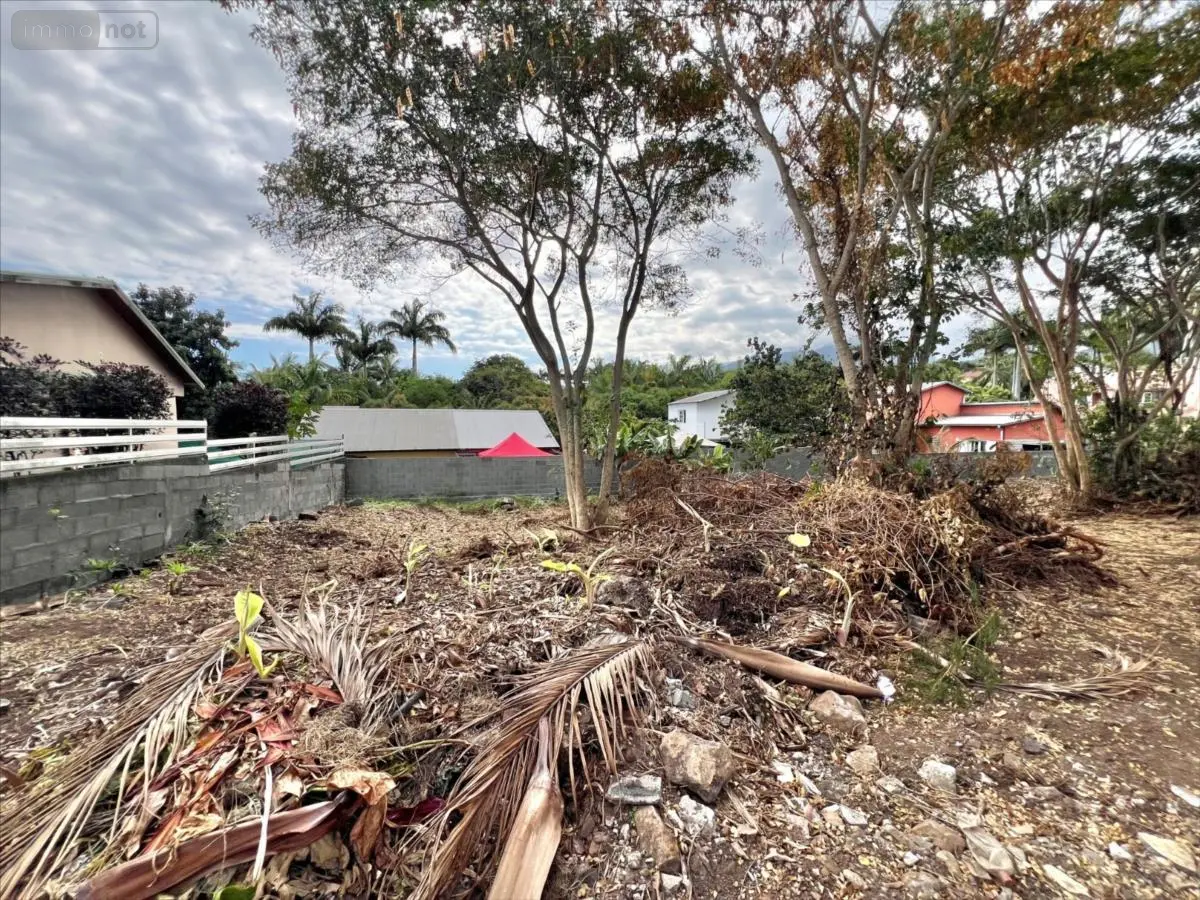 Terrain a batir a vendre Entre-Deux 97414 La Réunion 974 128000 euros 41515.A 001