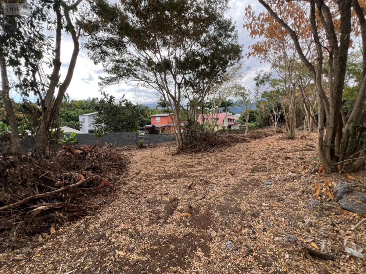 Terrain a batir a vendre Entre-Deux 97414 La Réunion 974 132000 euros 41515 B 001