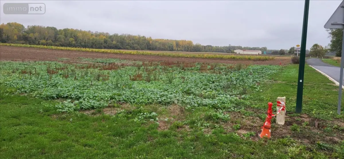 Terrain a batir a vendre Vouzy 51130 Marne 51 40000 euros 51011-1096888 001