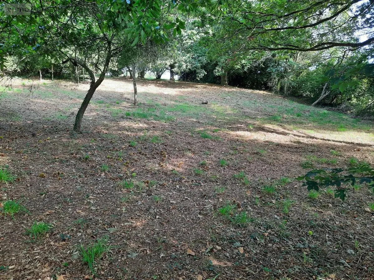 Terrain a batir a vendre Taupont 56800 Morbihan 56 43600 euros 56044-1478 001