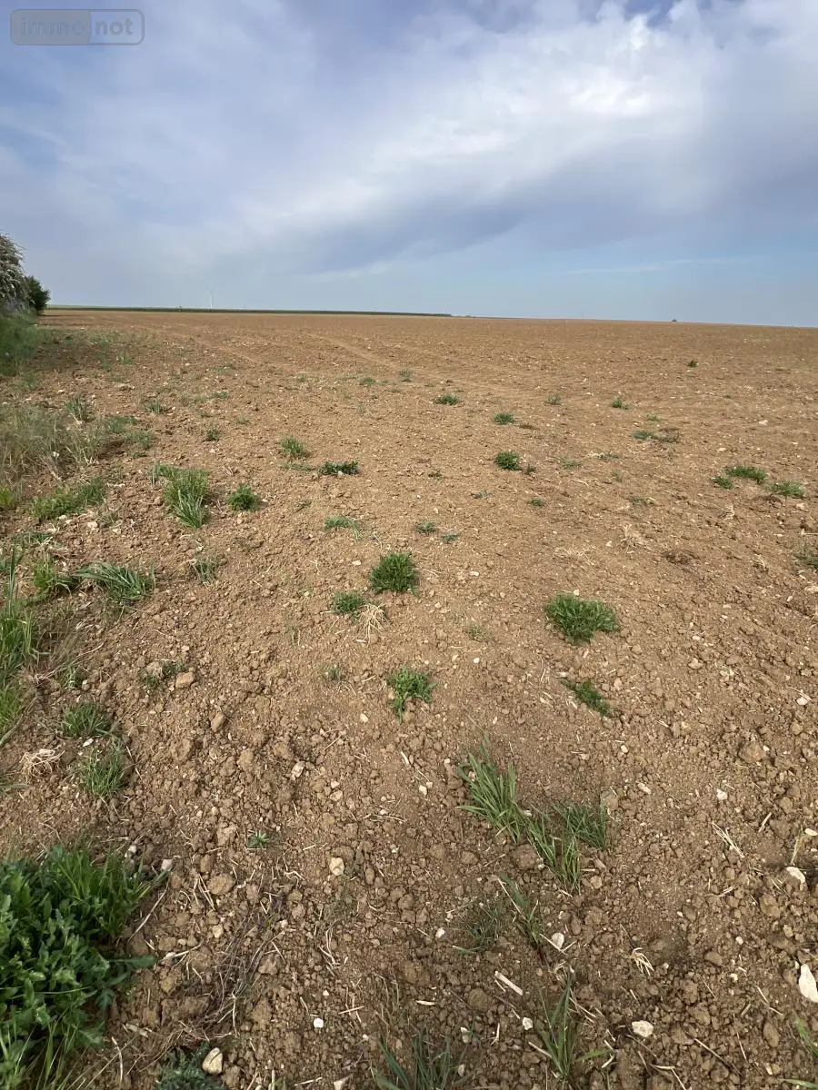 Terrain a batir a vendre Binas 41240 Loir-et-Cher 41 28000 euros 41029-53 001