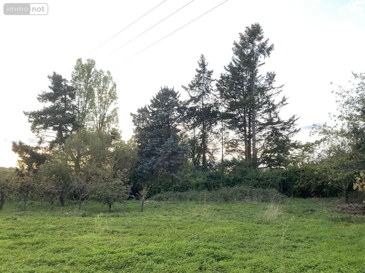 Terrain a batir a vendre Longuenée-en-Anjou 49770 Maine-et-Loire 49 102284 euros 49031-2787 001