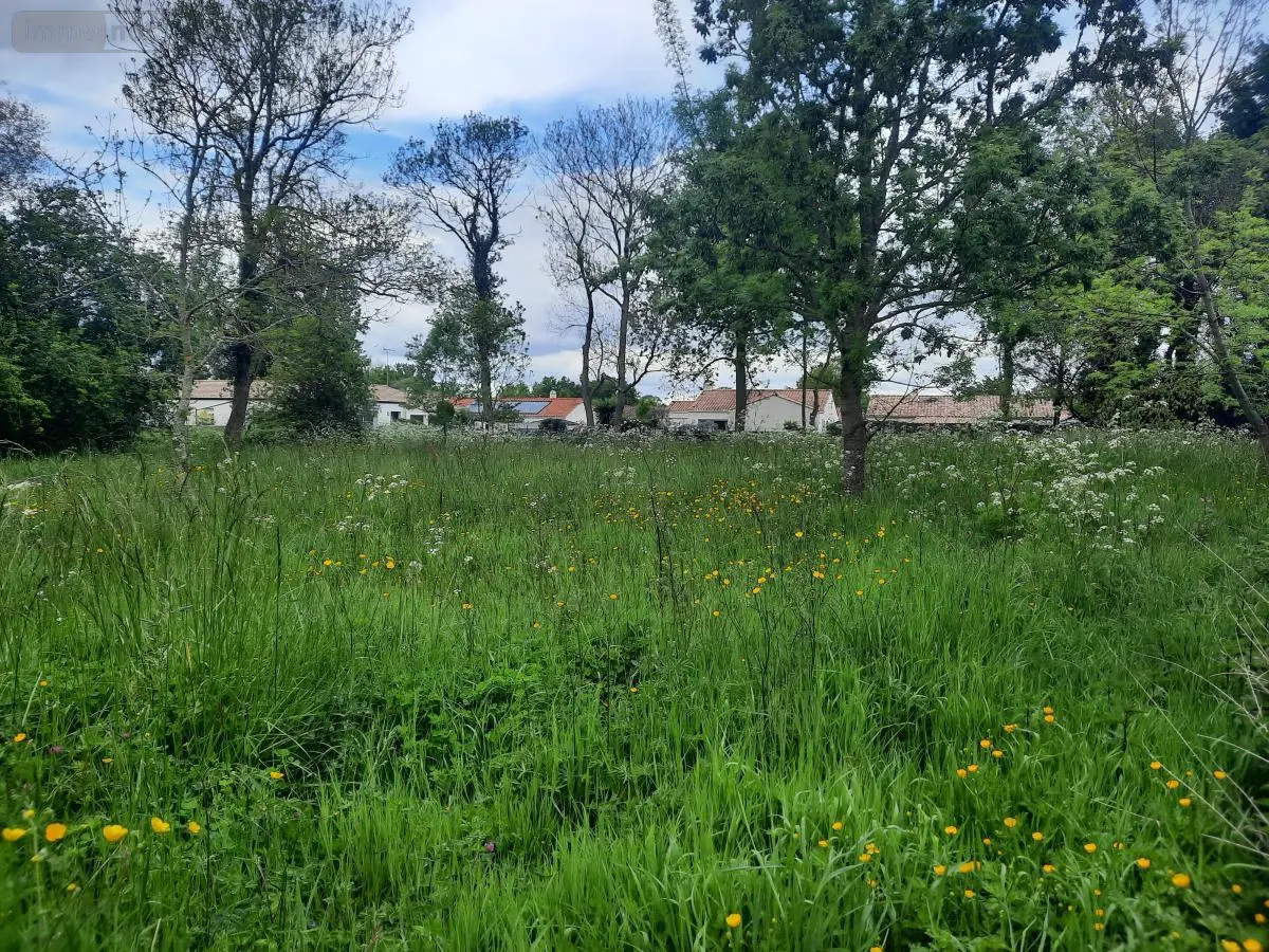 Terrain a batir a vendre Commequiers 85220 Vendée 85 173160 euros 85091-5185 001