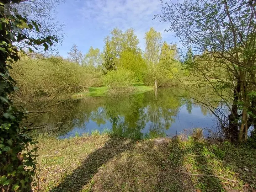 Terrains de loisirs bois etangs a vendre Amiens 80000 Somme 80 135000 euros 80011-5566 001