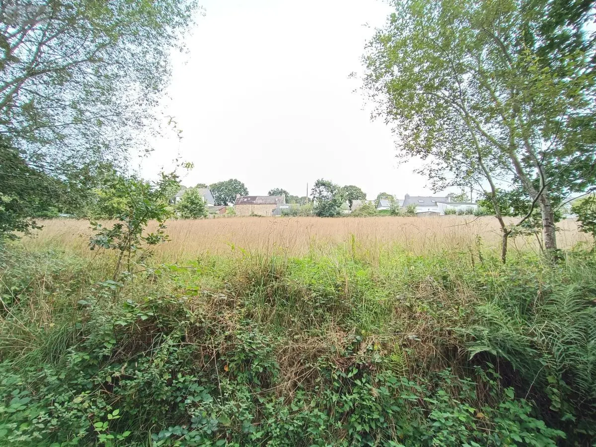 Terrains de loisirs bois etangs a vendre Cléguérec 56480 Morbihan 56 9700 euros 56062-1994 001