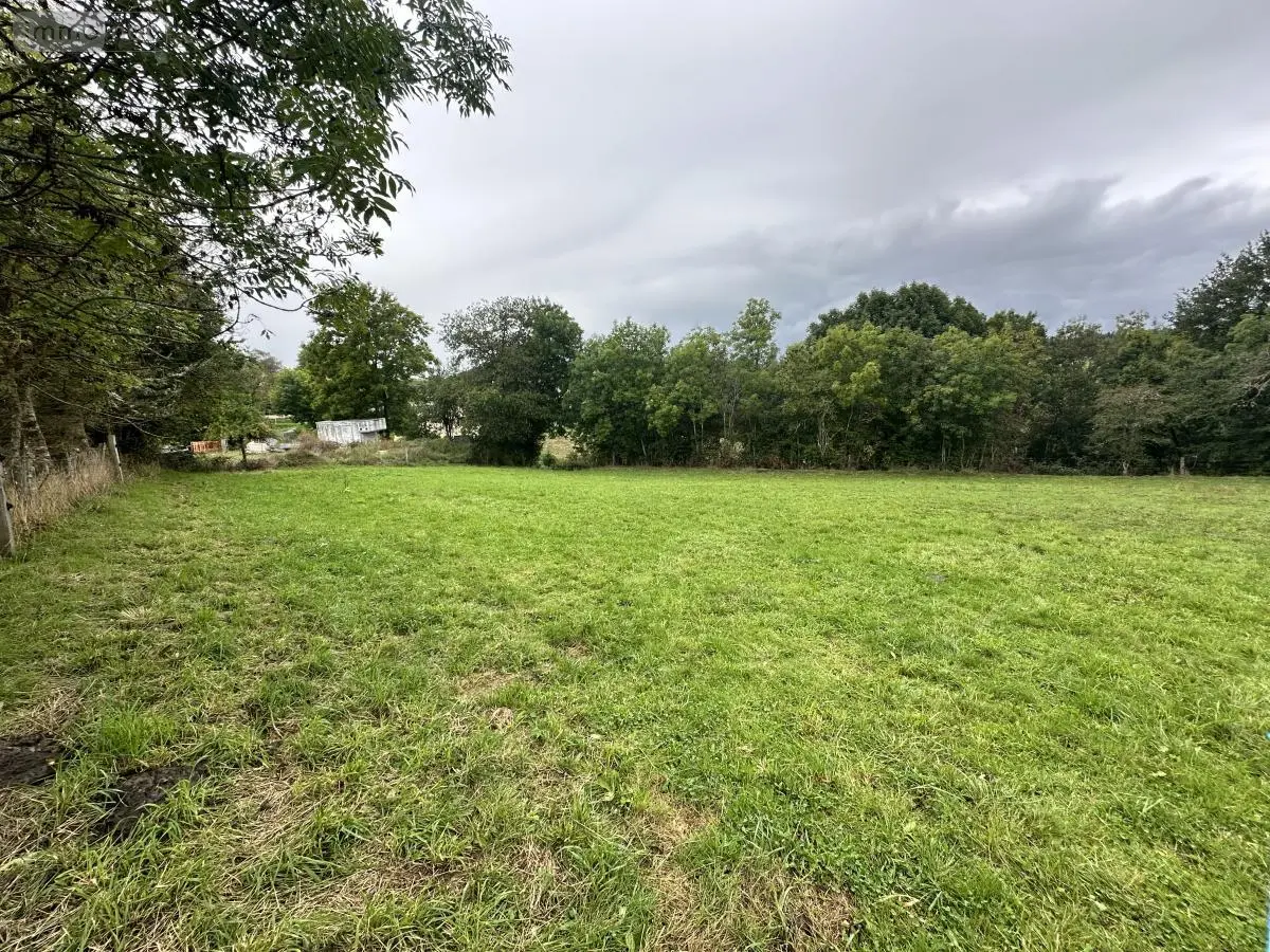 Terrain a batir a vendre Anglards-de-Saint-Flour 15100 Cantal 15 30000 euros 15046-64 001