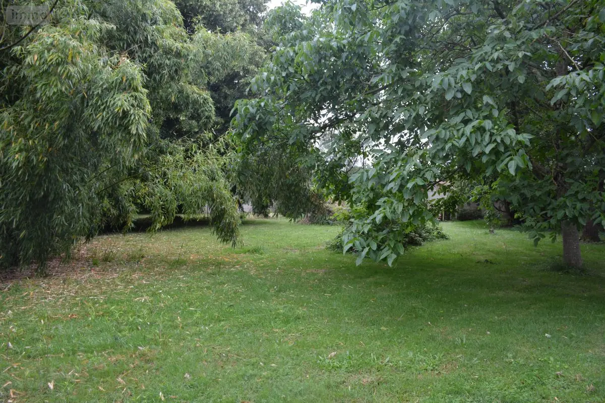 Terrains de loisirs bois etangs a vendre Ruillé-Froid-Fonds 53170 Mayenne 53 17574 euros 53039-419 001