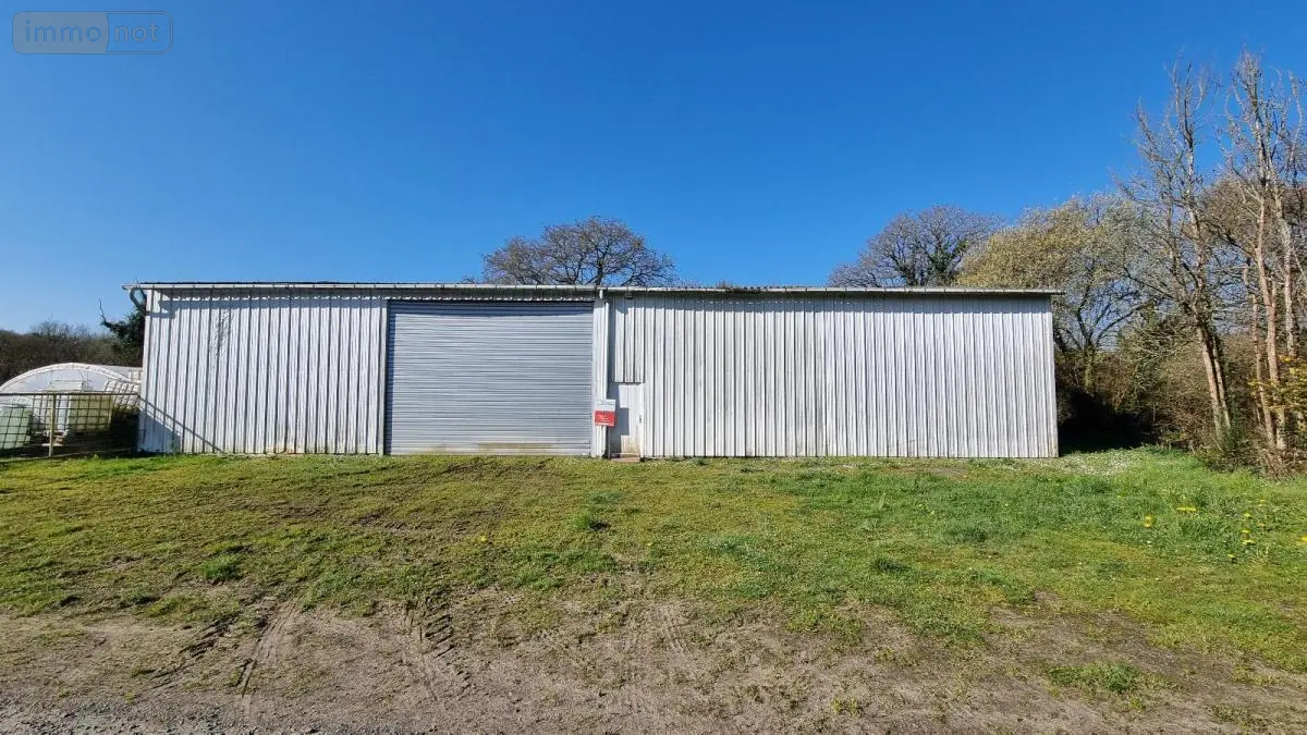 Garage et parking a vendre Callac 22160 Côtes-d'Armor 22 350 m2 105000 euros 29066-3855 001