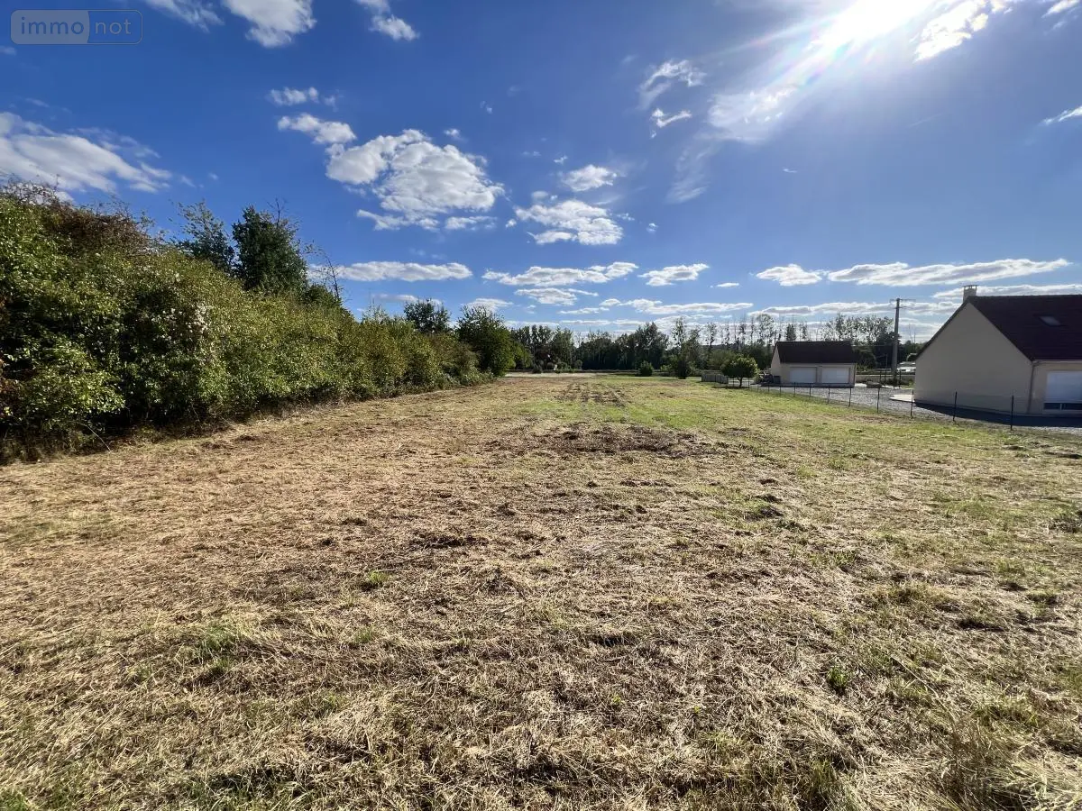 Terrain a batir a vendre Thésée 41140 Loir-et-Cher 41 20000 euros 41033-1820 001