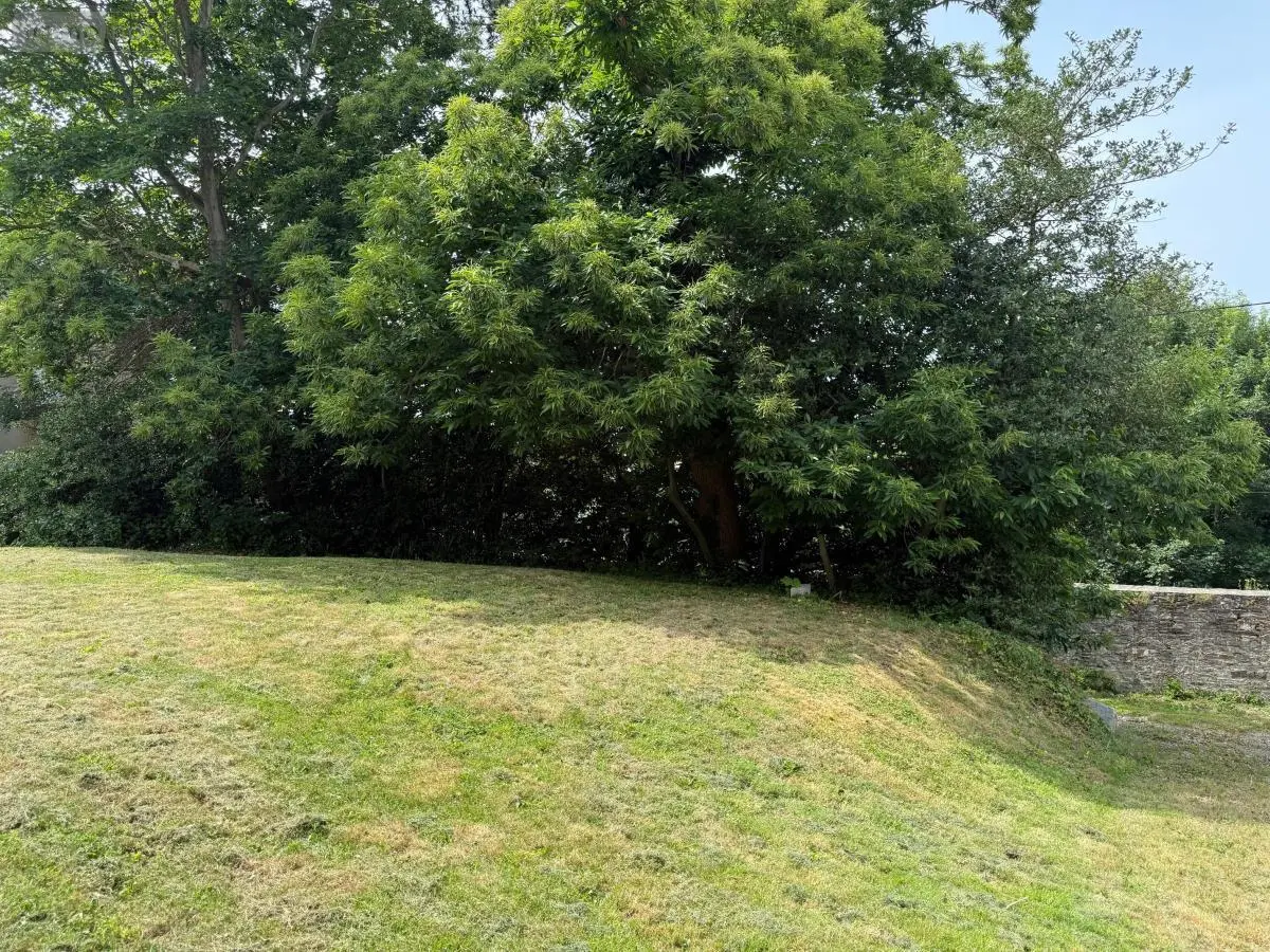 Terrain a batir a vendre Granville 50400 Manche 50 127380 euros 50038-2777 001