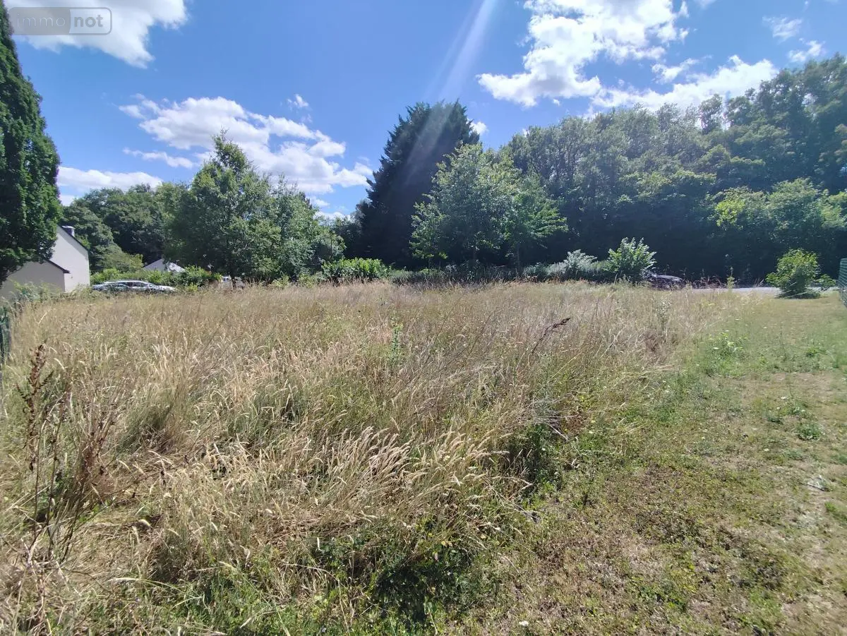Terrain a batir a vendre Le Thoureil 49350 Maine-et-Loire 49 45000 euros 49005-1353 001