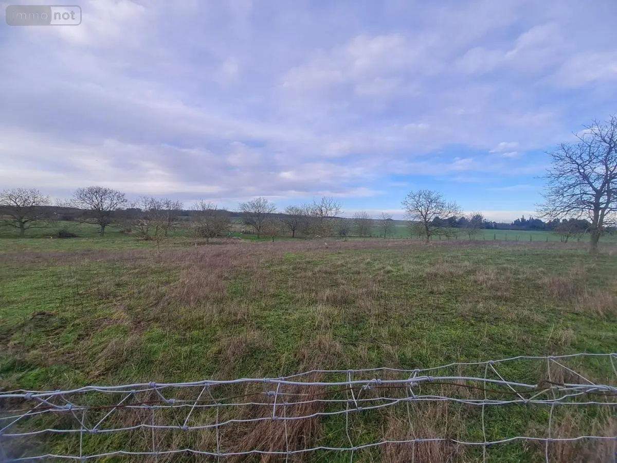 Terrain a batir a vendre Montoire-sur-le-Loir 41800 Loir-et-Cher 41 34400 euros 41059-894 001