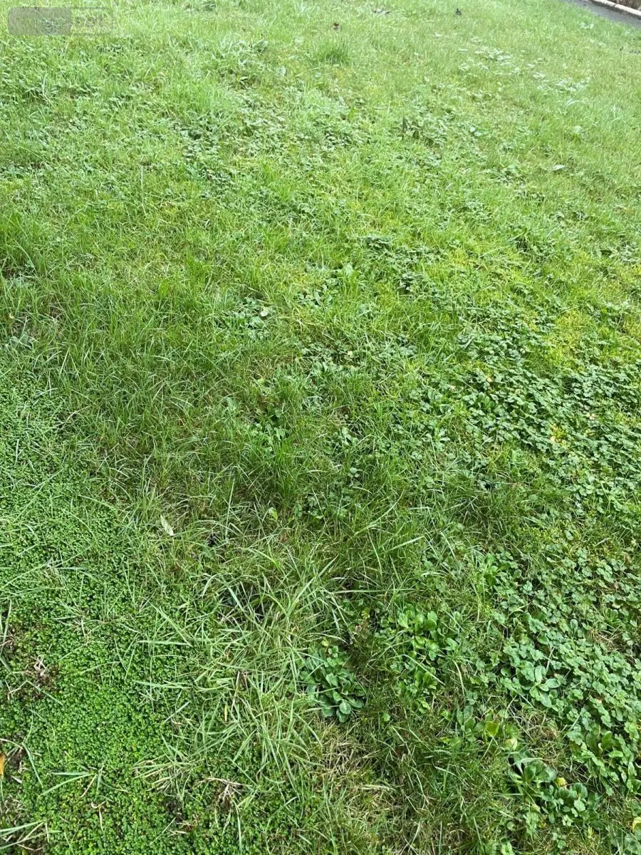 Terrain a batir a vendre Saint-Malo 35400 Ille-et-Vilaine 35 223385 euros 35104-1781 001