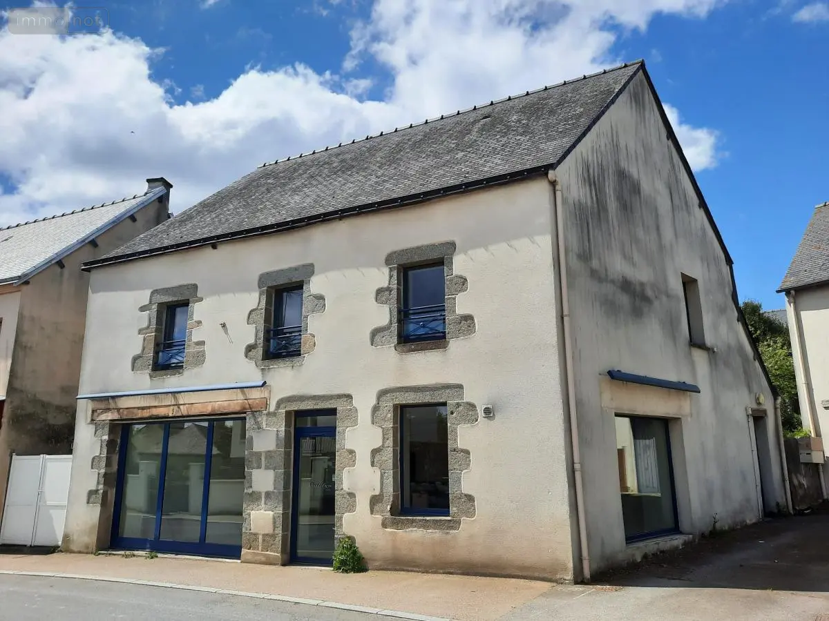 Immeuble de rapport a vendre Guilliers 56490 Morbihan 56 98 m2 115100 euros 56044-1444 001