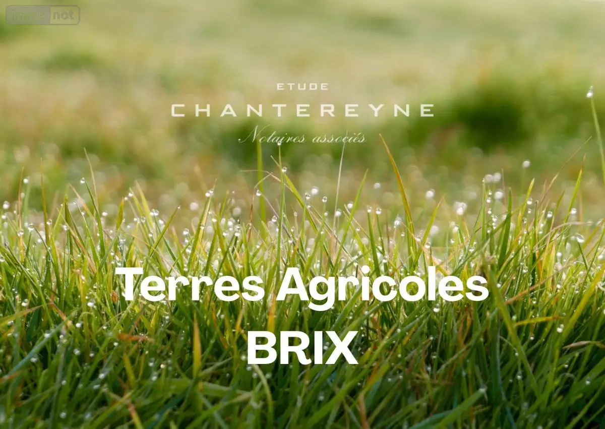 Terrains de loisirs bois etangs a vendre Brix 50700 Manche 50 3610 euros 50108-4846 001