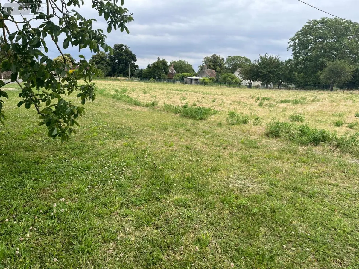 Terrain a batir a vendre Trogues 37220 Indre-et-Loire 37 62600 euros 37060-2367 001