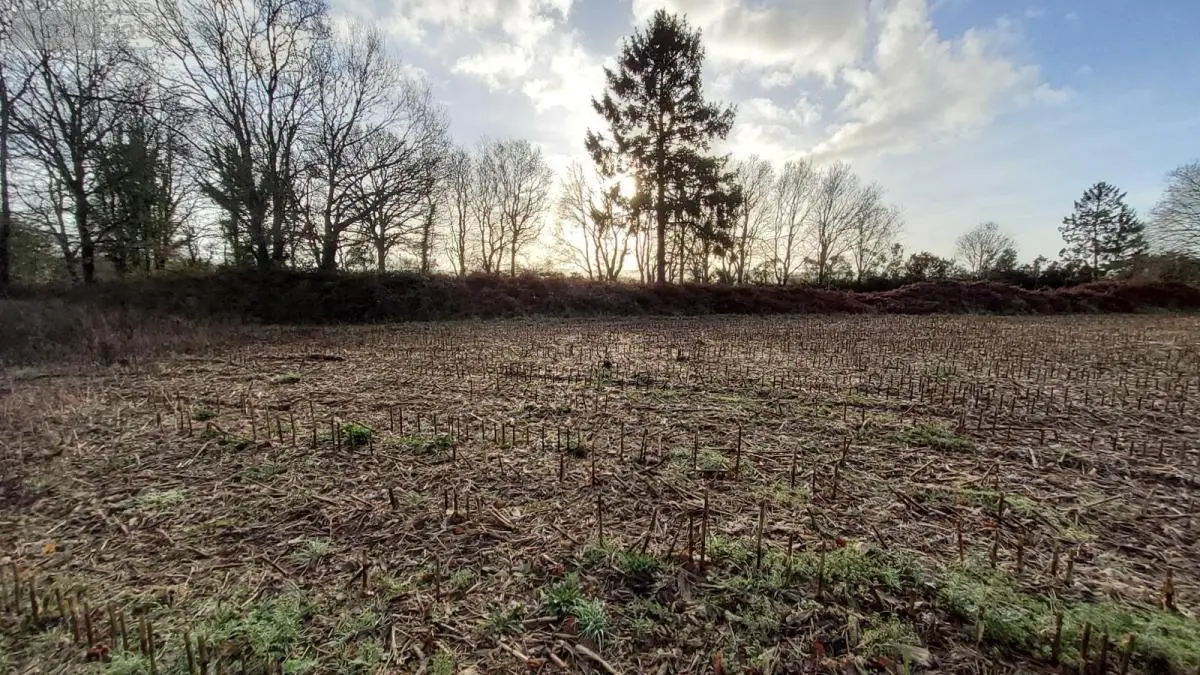Terrain a batir a vendre Cléden-Poher 29270 Finistère 29 53235 euros 29066-3771 001