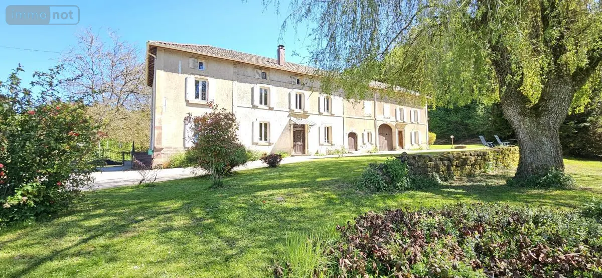 Maison a vendre Ménil-sur-Belvitte 88700 Vosges 88 300 m2 9 pièces 489000 euros 88061-851 001