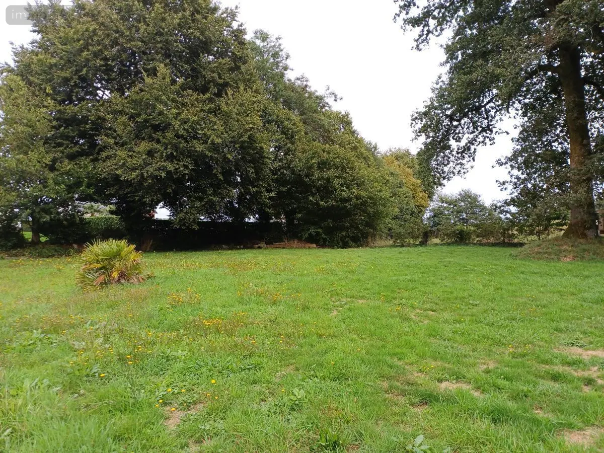Terrain a batir a vendre Plouay 56240 Morbihan 56 142335 euros 56032-1669 001
