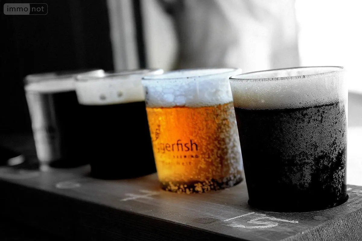 Divers a vendre Treillières 44119 Loire-Atlantique 44 101 m2 142480 euros 44028-1456 001