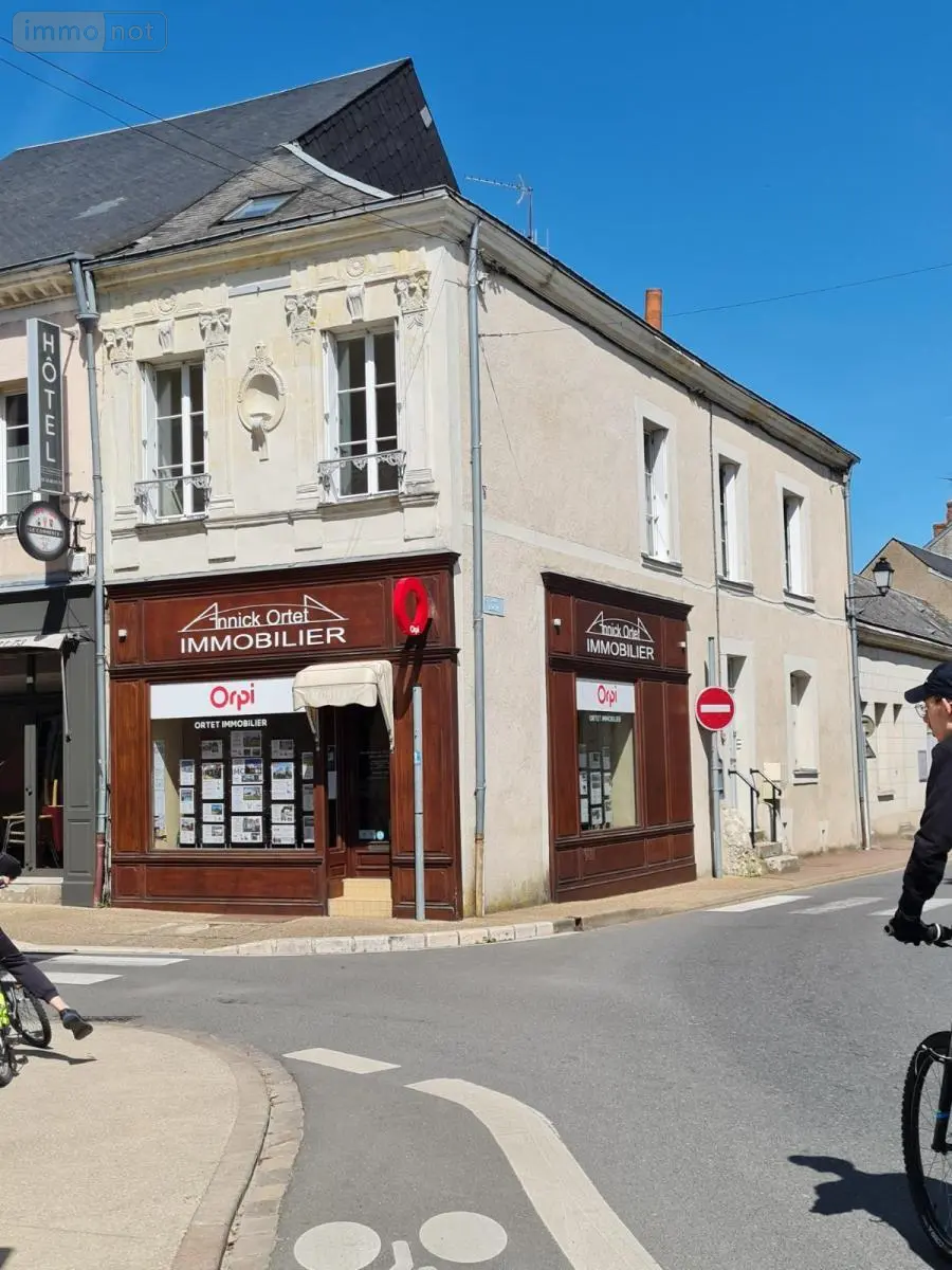 Immeuble de rapport a vendre Montoire-sur-le-Loir 41800 Loir-et-Cher 41 121 m2 290920 euros 41059-860 001