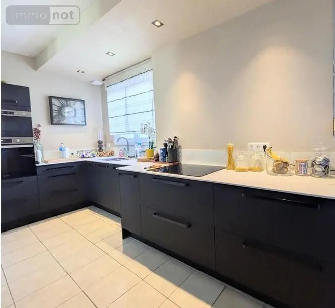 Appartement a vendre Cambrai 59400 Nord 59 95 m2 3 pièces 235000 euros 59085-1600 001