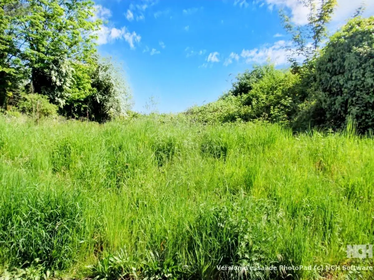 Terrain a batir a vendre Raimbeaucourt 59283 Nord 59 80920 euros 62032-1892 001