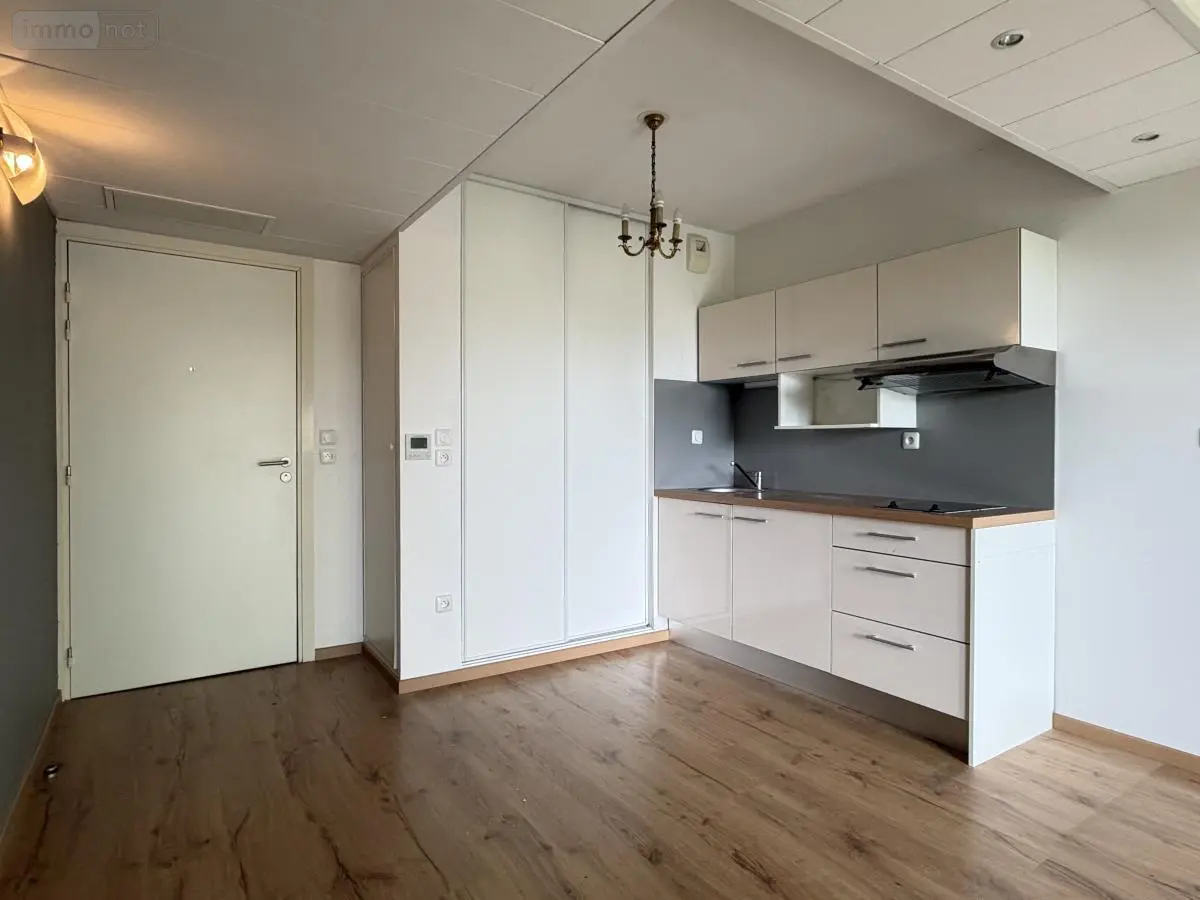 Appartement a vendre Toulouse 31000 Haute-Garonne 31 42 m2 2 pièces 135000 euros 31007-3 001