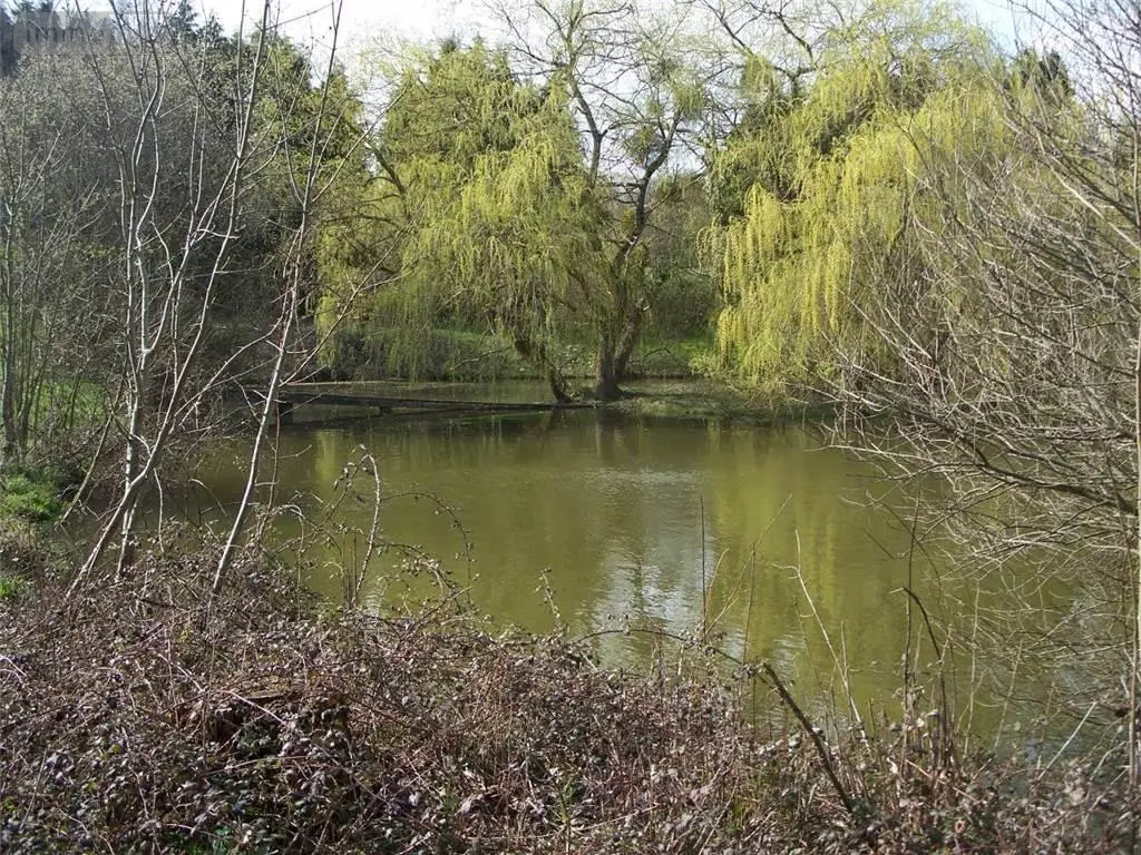 Terrains de loisirs bois etangs a vendre Nuillé-sur-Vicoin 53970 Mayenne 53 126300 euros 53032-957 001