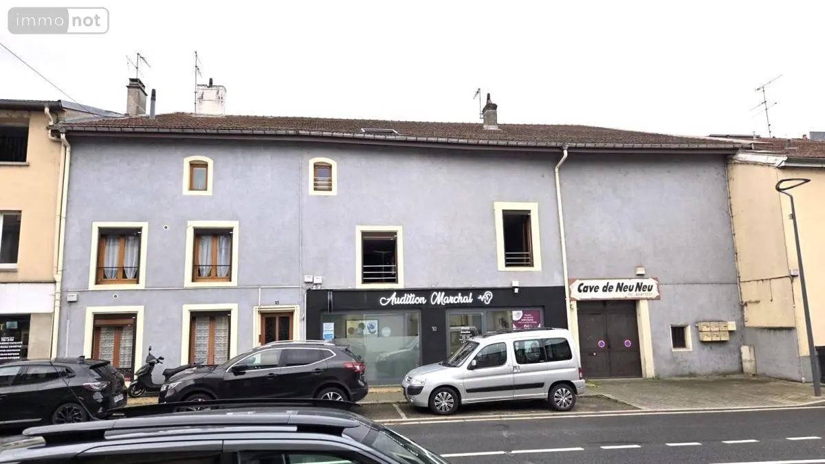 Immeuble de rapport a vendre Neuves-Maisons 54230 Meurthe-et-Moselle 54 600 m2 450000 euros 54092-145 001