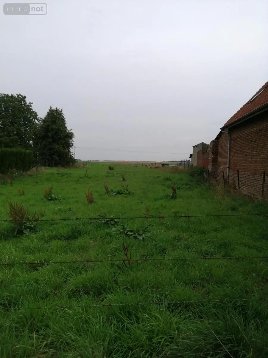 Terrain a batir a vendre Rocquigny 62450 Pas-de-Calais 62 31800 euros 62113-1017 001