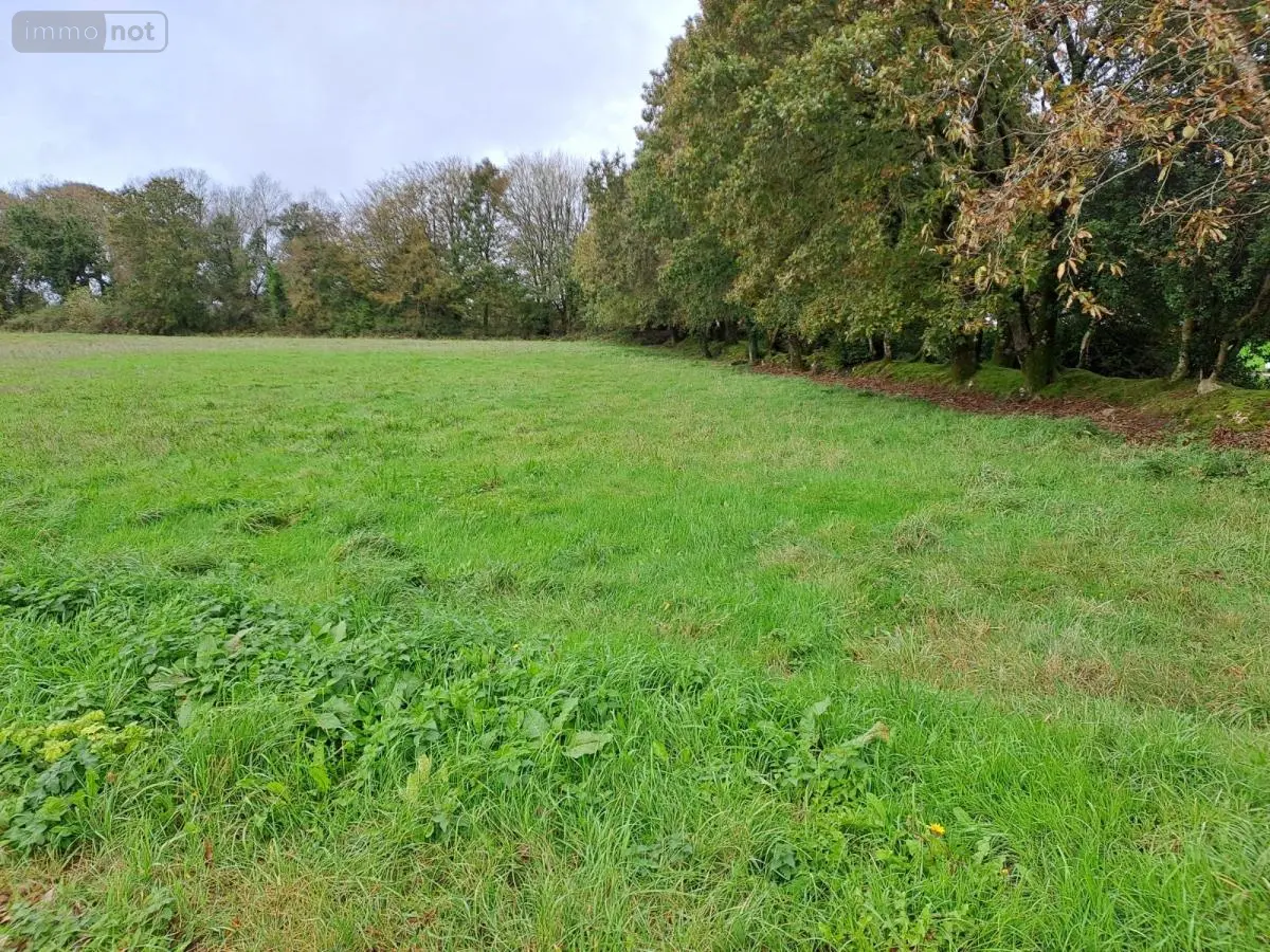 Terrain a batir a vendre Scrignac 29640 Finistère 29 32500 euros 29064-2759 001