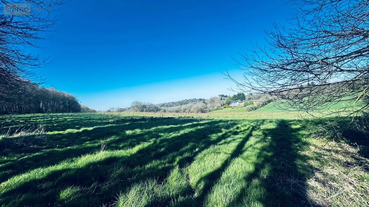 Terrains de loisirs bois etangs a vendre Guilligomarc'h 29300 Finistère 29 53600 euros 56081-2280 001