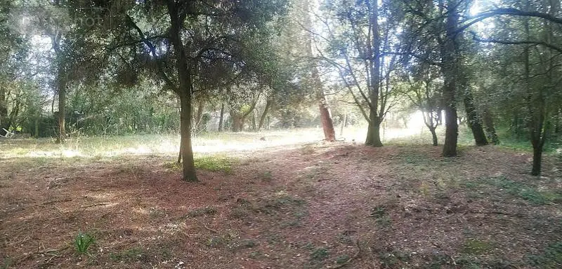 Terrain a batir a vendre Saint-Pierre-d'Oléron 17310 Charente-Maritime 17 230400 euros DD/JOM/25-12 001