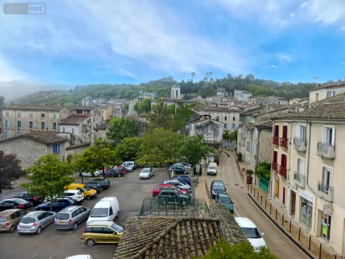 Maison a vendre Sauve 30610 Gard 30 140 m2 7 pièces 524000 euros 34019-489 001