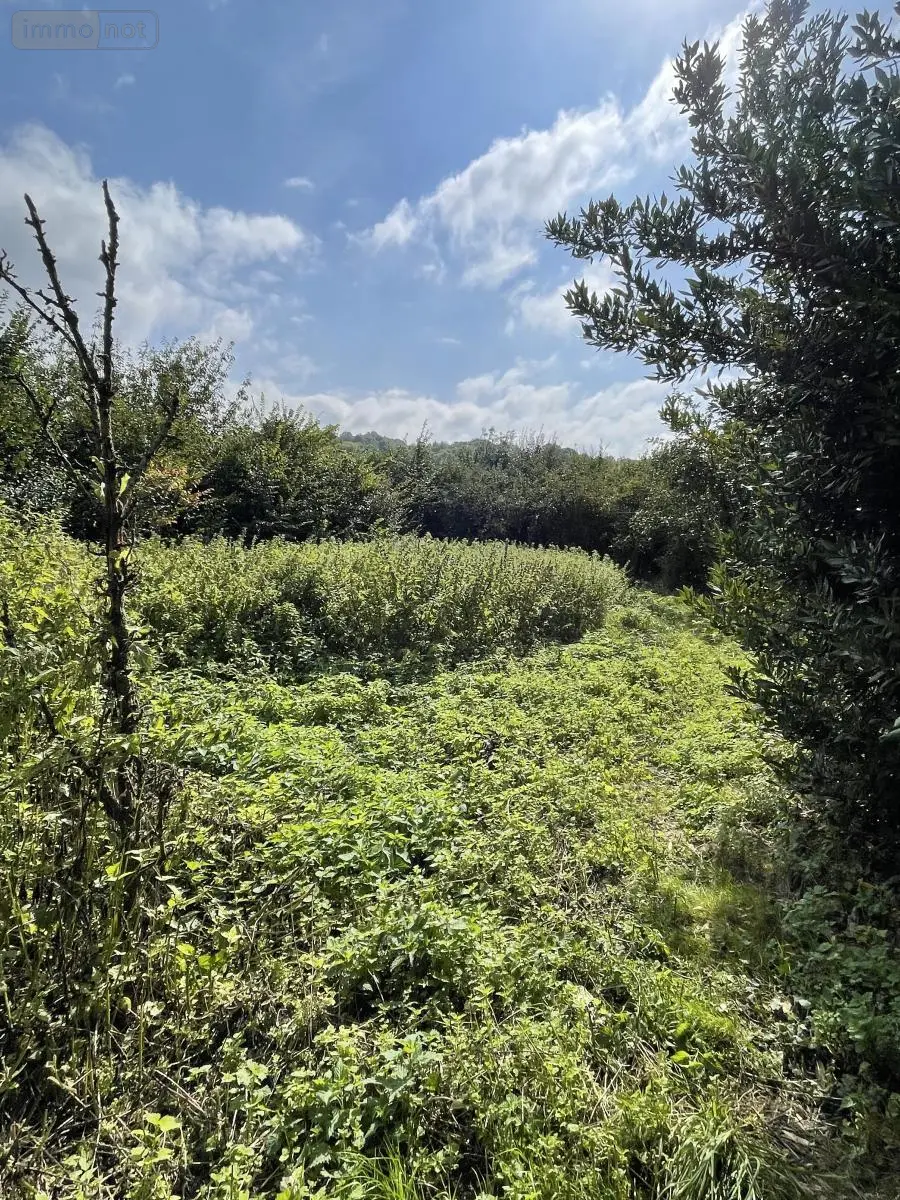Terrain a batir a vendre Naours 80260 Somme 80 47000 euros 80004-1097 001