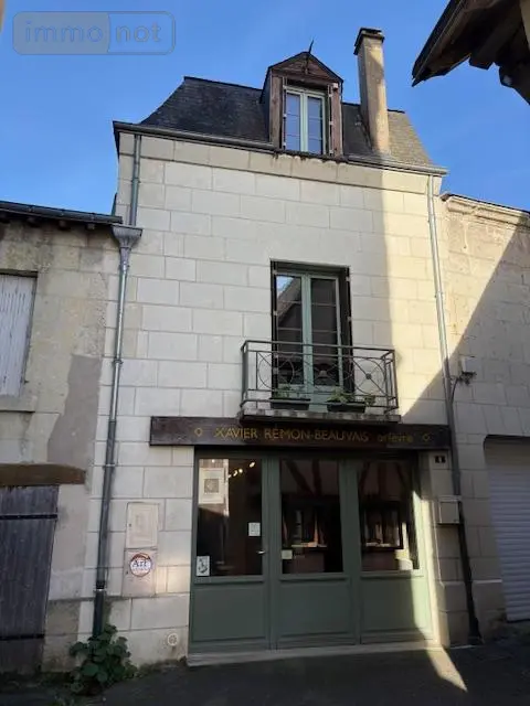 Immeuble de rapport a vendre Chinon 37500 Indre-et-Loire 37 105 m2 142000 euros 37094-20 001