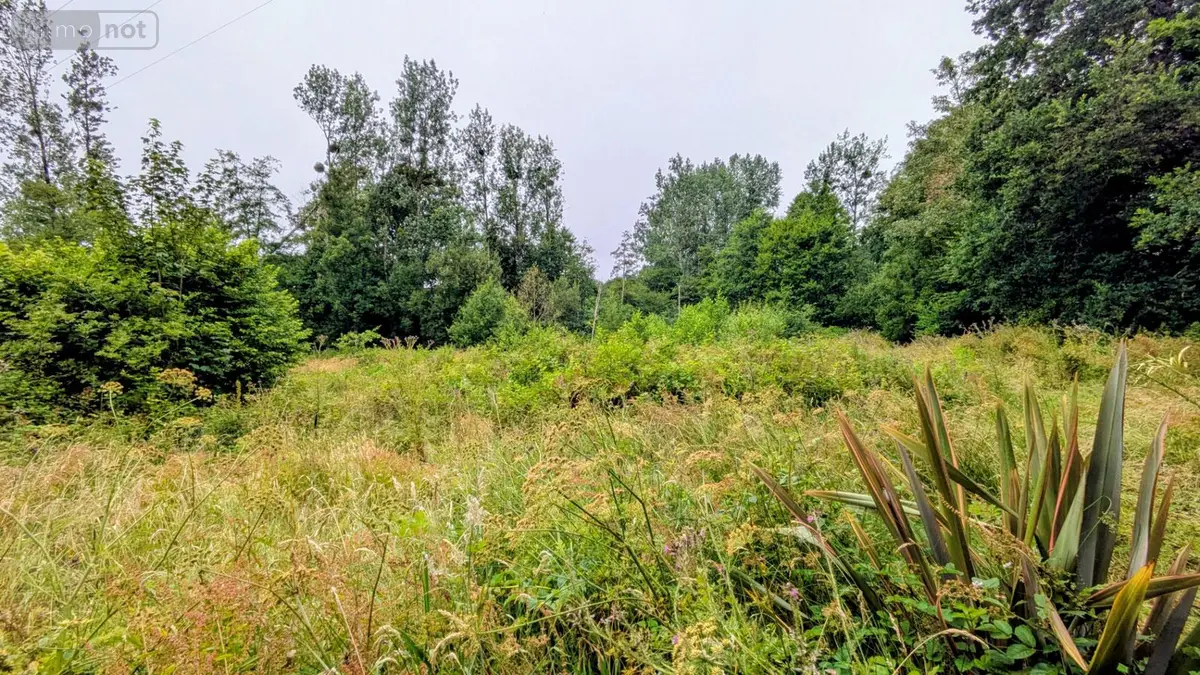 Divers a vendre Sottevast 50260 Manche 50 5760 m2 17440 euros 70 001
