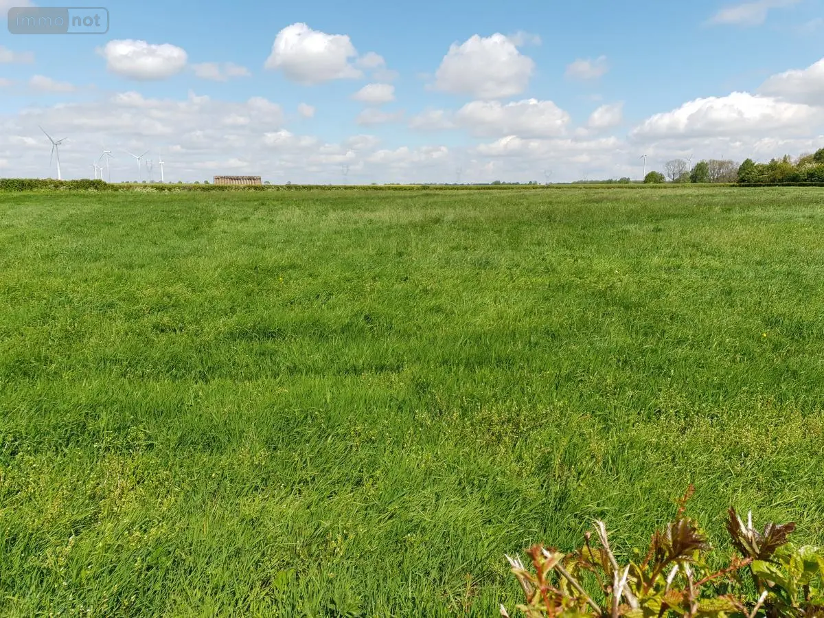 Terrain a batir a vendre Sains-lès-Pernes 62550 Pas-de-Calais 62 61600 euros 62050-1719 001