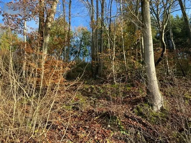 Terrains de loisirs bois etangs a vendre La Vespière-Friardel 14290 Calvados 14 9971 euros 14058-1568 001