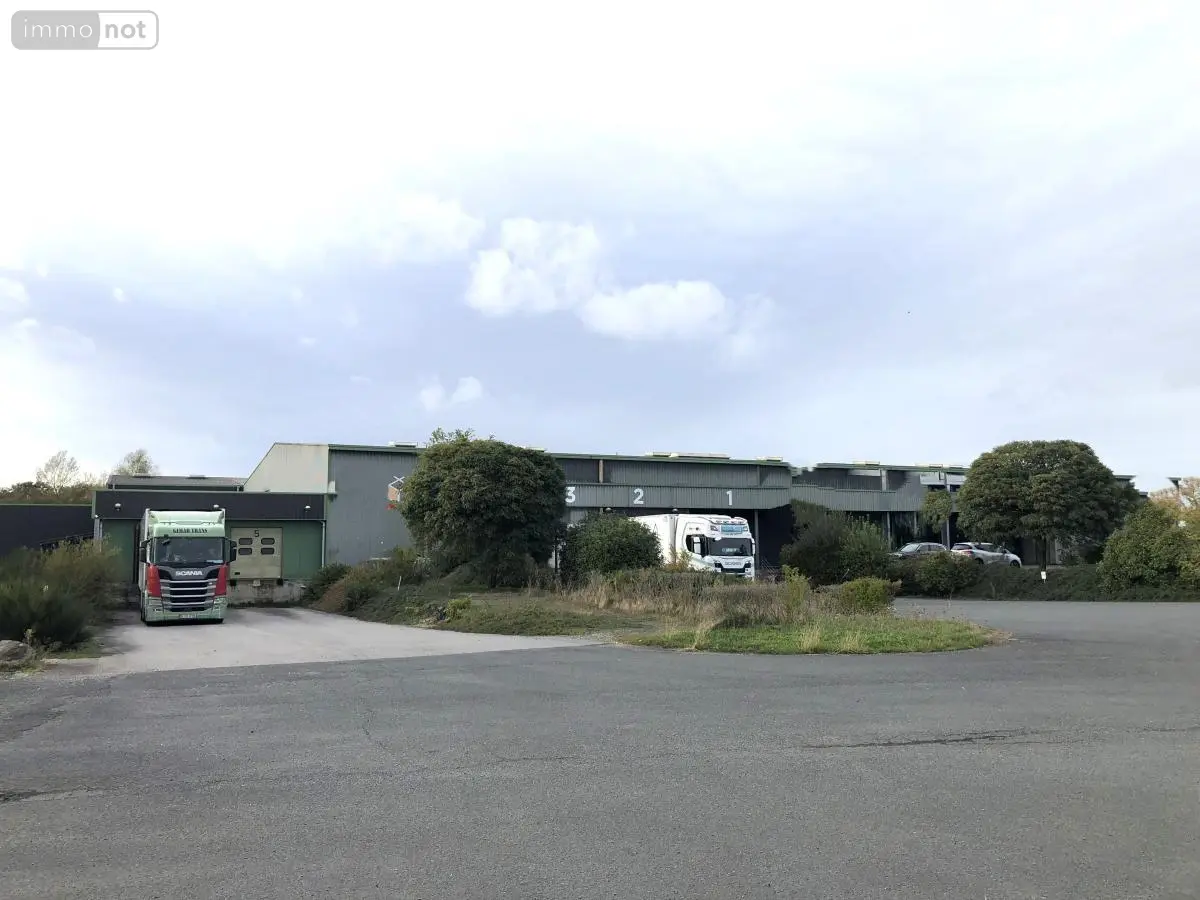 Fonds et murs commerciaux a vendre La Chapelle-d'Aligné 72300 Sarthe 72 27247 m2 2100000 euros 49008-32 001