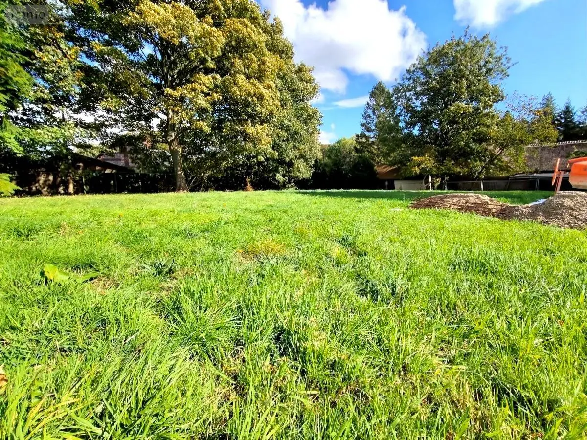 Terrain a batir a vendre Auzouville-Auberbosc 76640 Seine-Maritime 76 75000 euros 76087-53 001