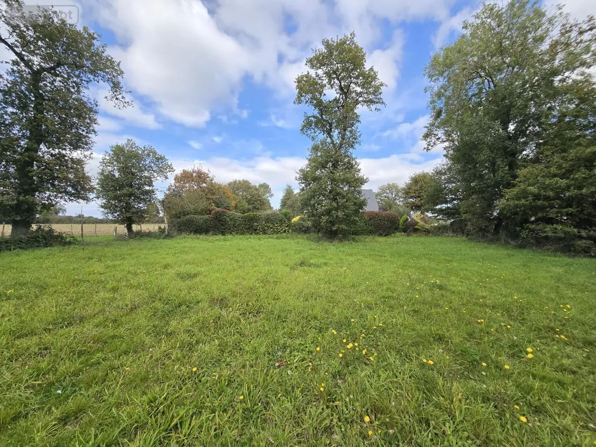 Terrain a batir a vendre Saint-Guyomard 56460 Morbihan 56 89920 euros 56049-762 001