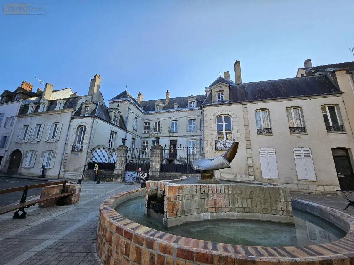 Immeuble de rapport a vendre Montargis 45200 Loiret 45 556 m2 385000 euros 45051-498 001