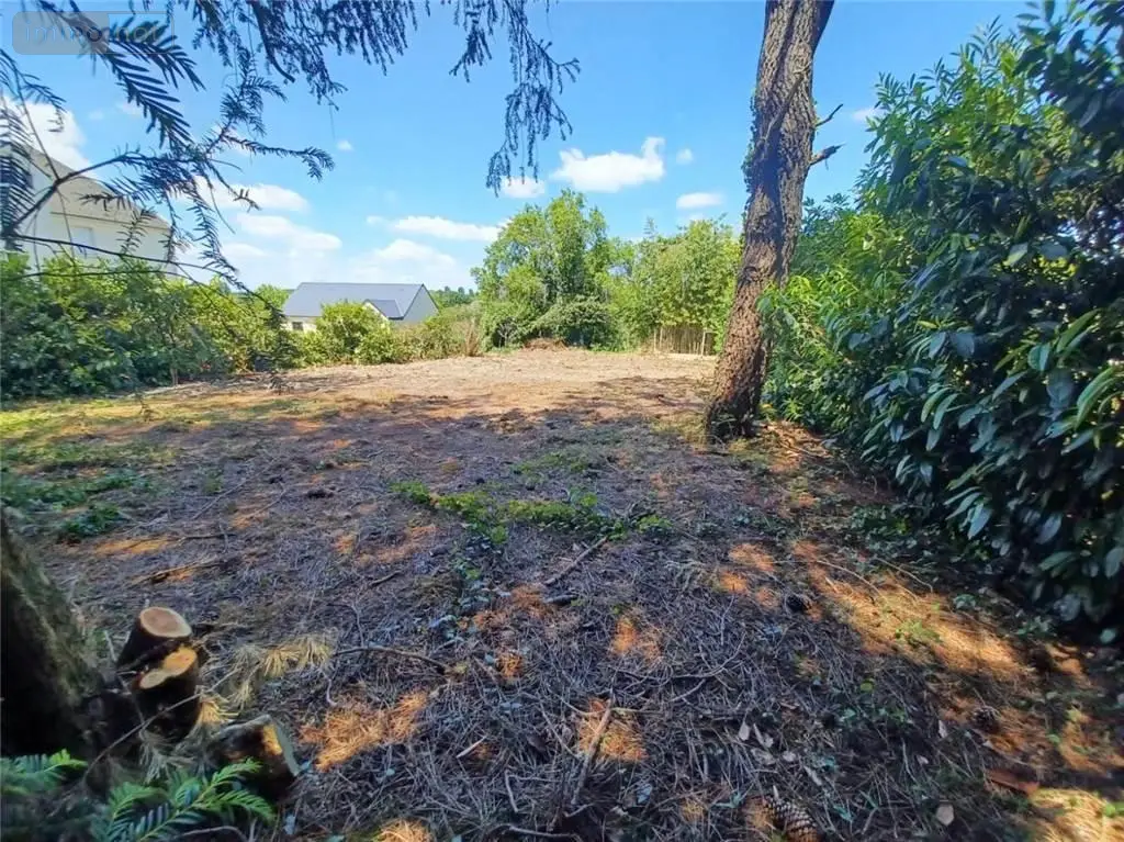 Terrain a batir a vendre Monts 37260 Indre-et-Loire 37 89900 euros 37007-2785 001