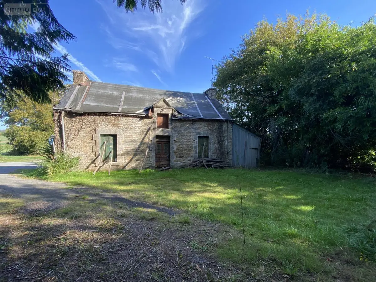 Maison a vendre Saint-Jean-Brévelay 56660 Morbihan 56 47 m2 2 pièces 59000 euros 56056-196 001
