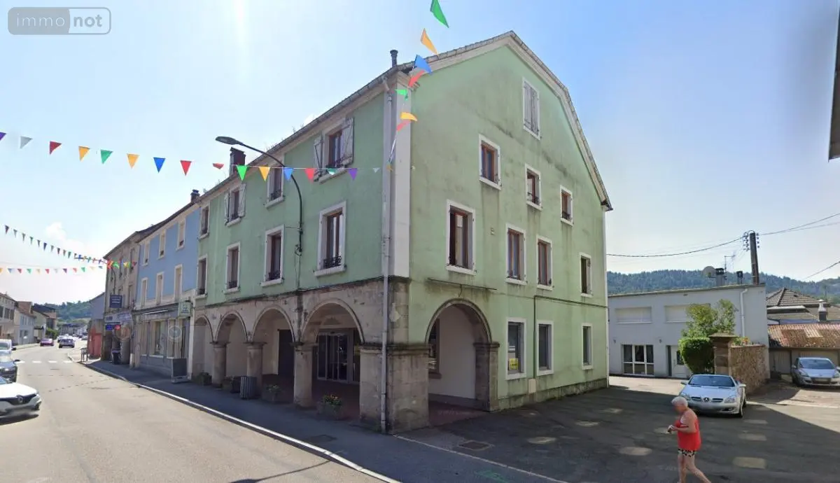 Fonds et murs commerciaux a vendre Le Thillot 88160 Vosges 88 263 m2 5 pièces 115000 euros 88038-1234 001