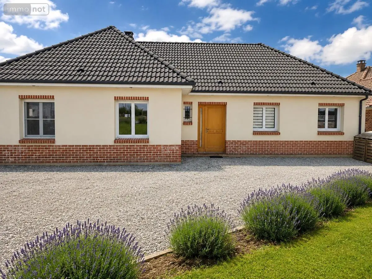 Maison a vendre Ledinghem 62380 Pas-de-Calais 62 128 m2 5 pièces 239200 euros 62096-360 001