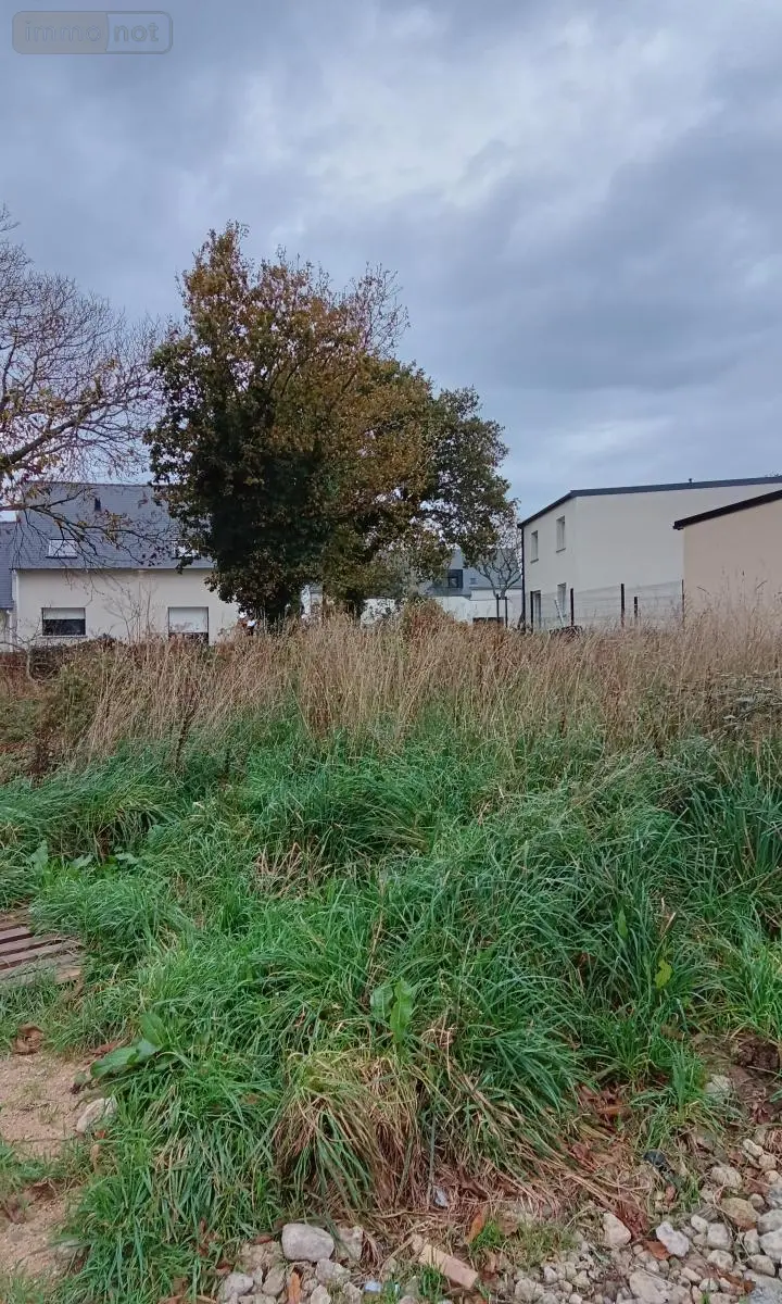 Terrain a batir a vendre Plonéour-Lanvern 29720 Finistère 29 55100 euros 29016-1134 001