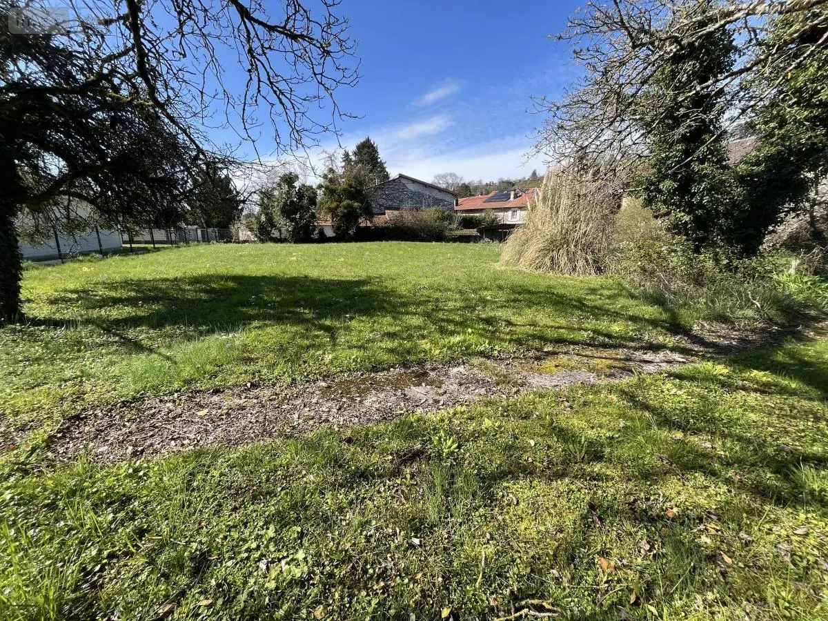 Terrain a batir a vendre Châtillon-la-Palud 01320 Ain 01 99000 euros 01067-1009 001